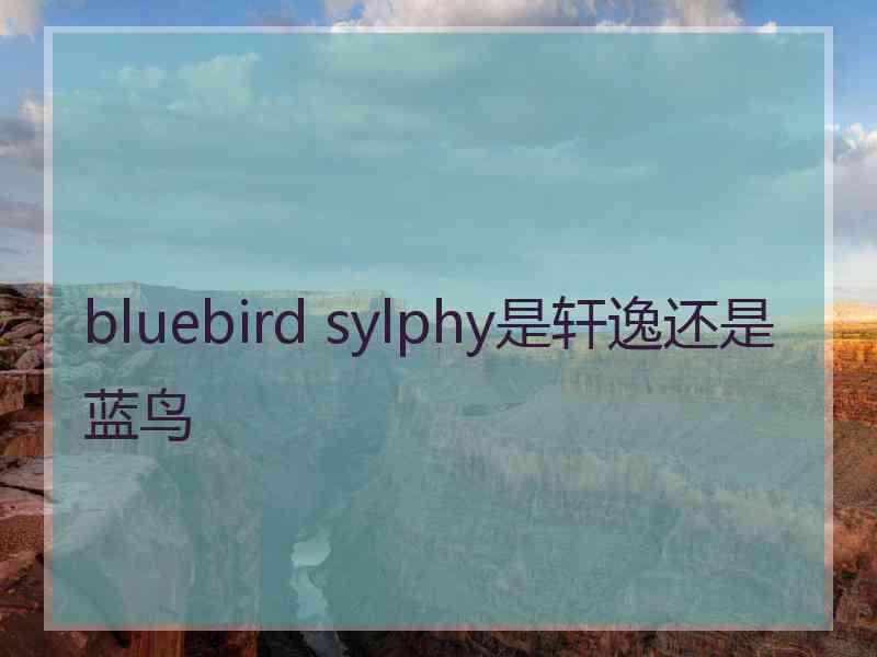 bluebird sylphy是轩逸还是蓝鸟