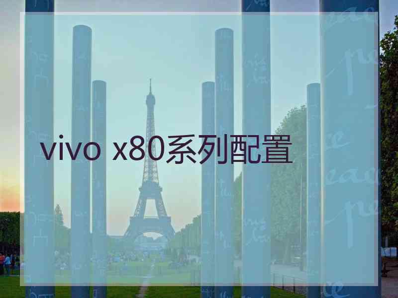 vivo x80系列配置