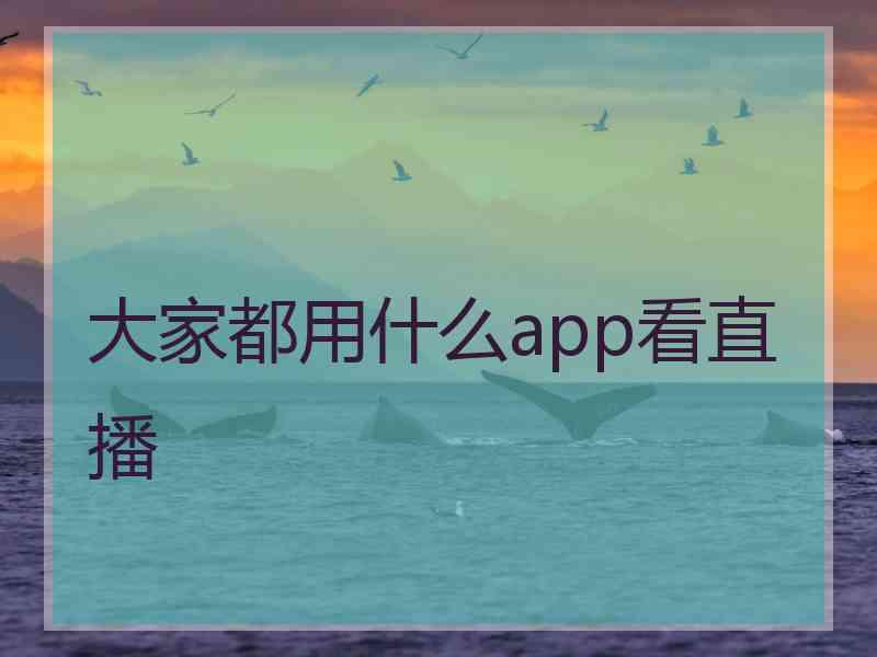 大家都用什么app看直播