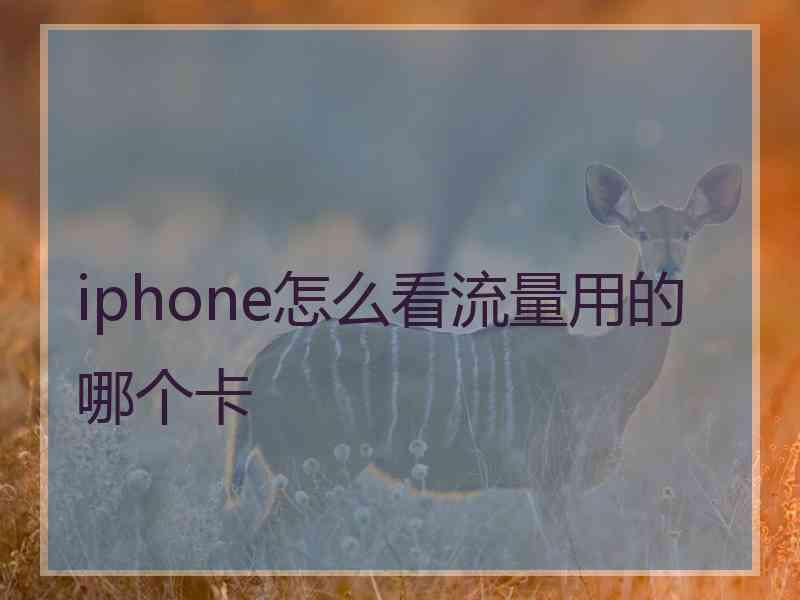 iphone怎么看流量用的哪个卡