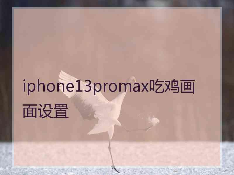 iphone13promax吃鸡画面设置