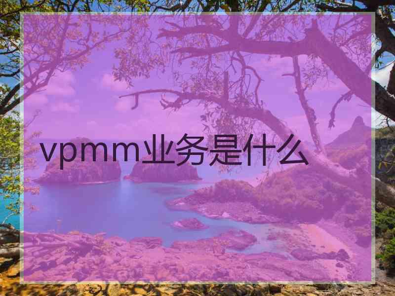 vpmm业务是什么