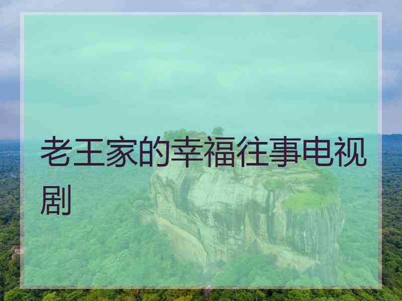 老王家的幸福往事电视剧