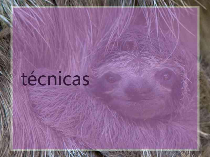 técnicas