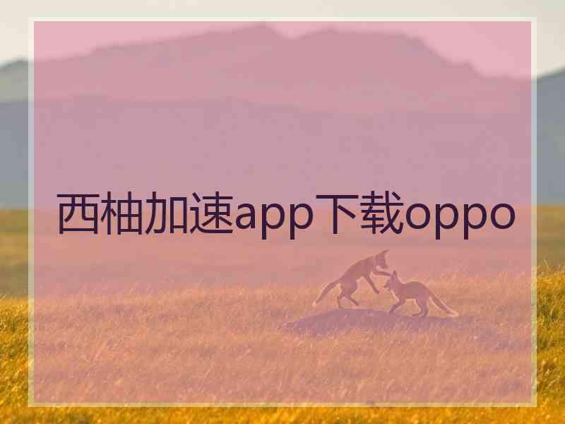 西柚加速app下载oppo