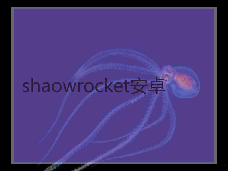 shaowrocket安卓