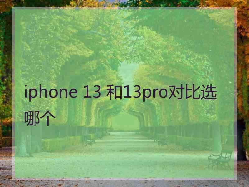 iphone 13 和13pro对比选哪个