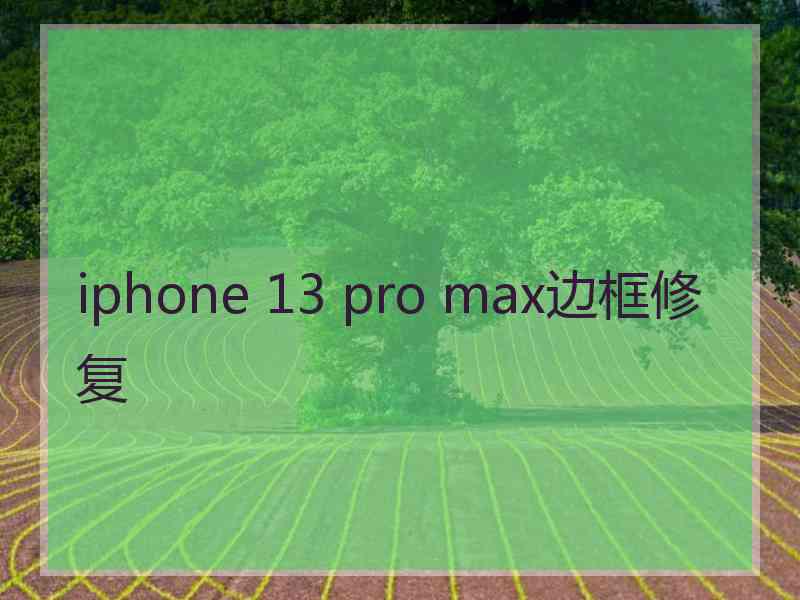 iphone 13 pro max边框修复