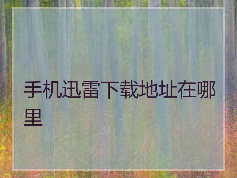 手机迅雷下载地址在哪里