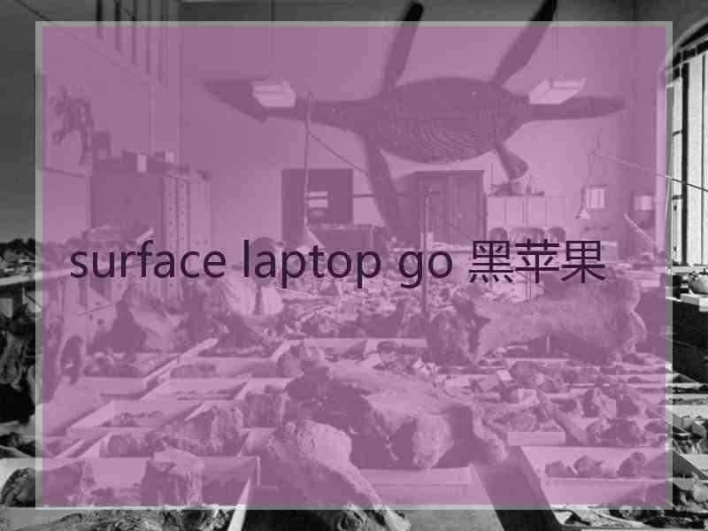 surface laptop go 黑苹果