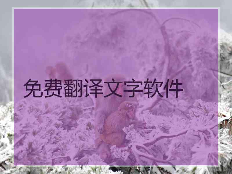 免费翻译文字软件