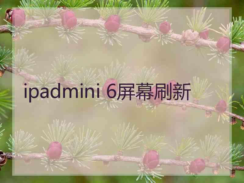 ipadmini 6屏幕刷新