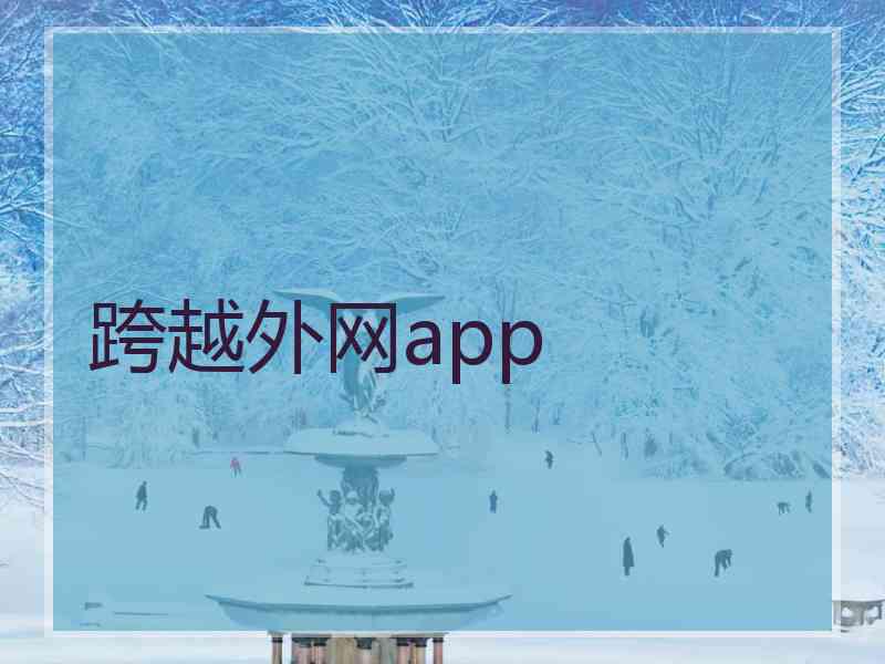 跨越外网app