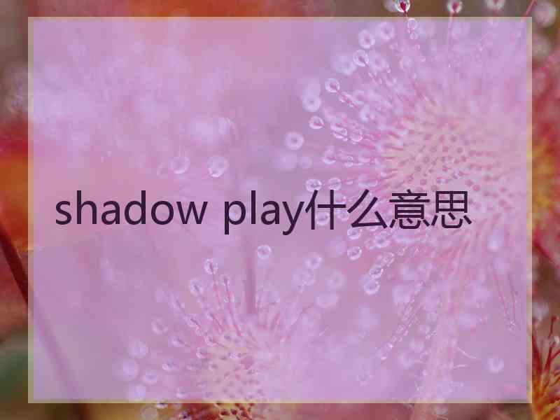 shadow play什么意思