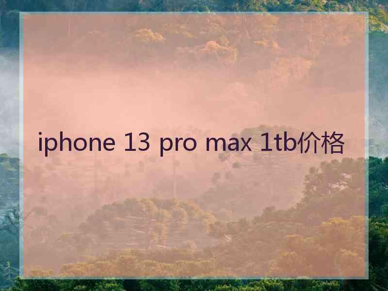 iphone 13 pro max 1tb价格