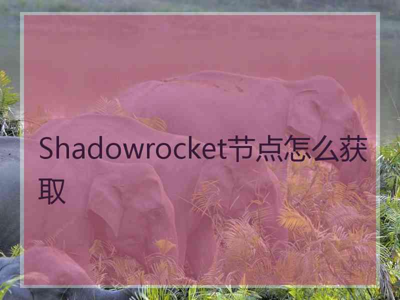 Shadowrocket节点怎么获取