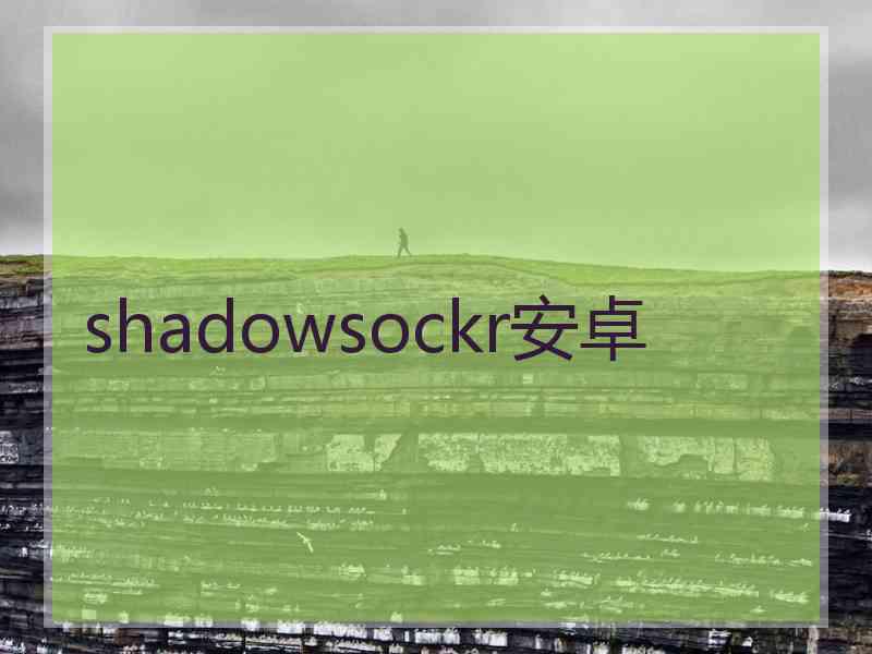 shadowsockr安卓