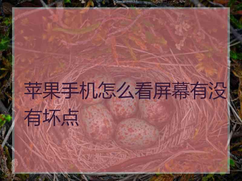 苹果手机怎么看屏幕有没有坏点