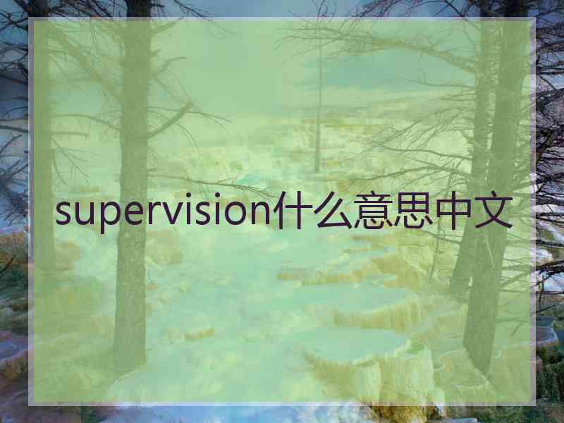 supervision什么意思中文