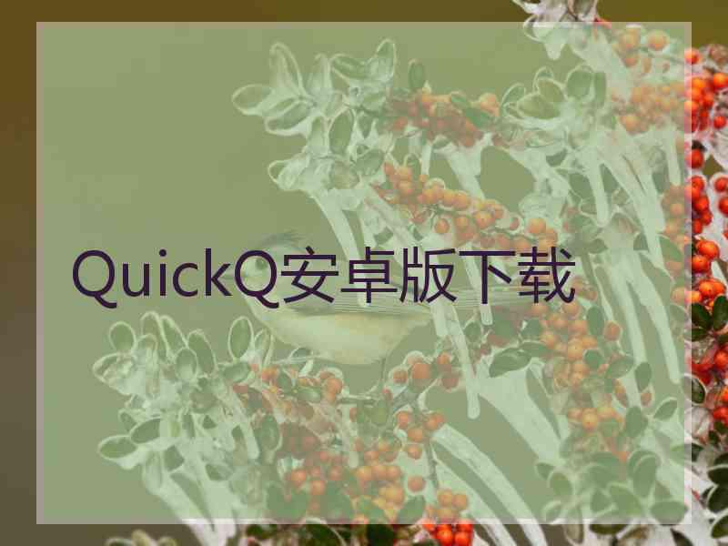 QuickQ安卓版下载