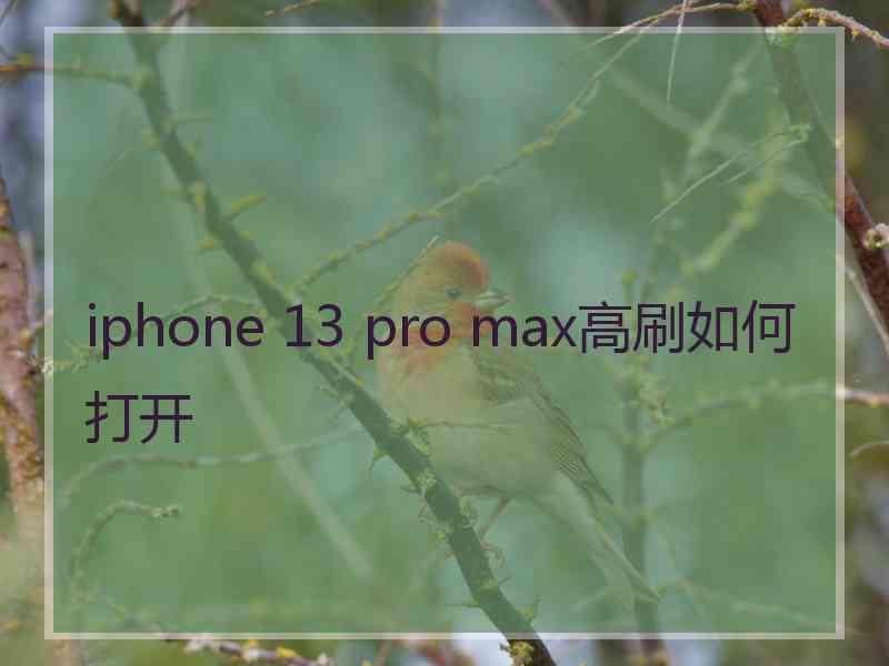 iphone 13 pro max高刷如何打开