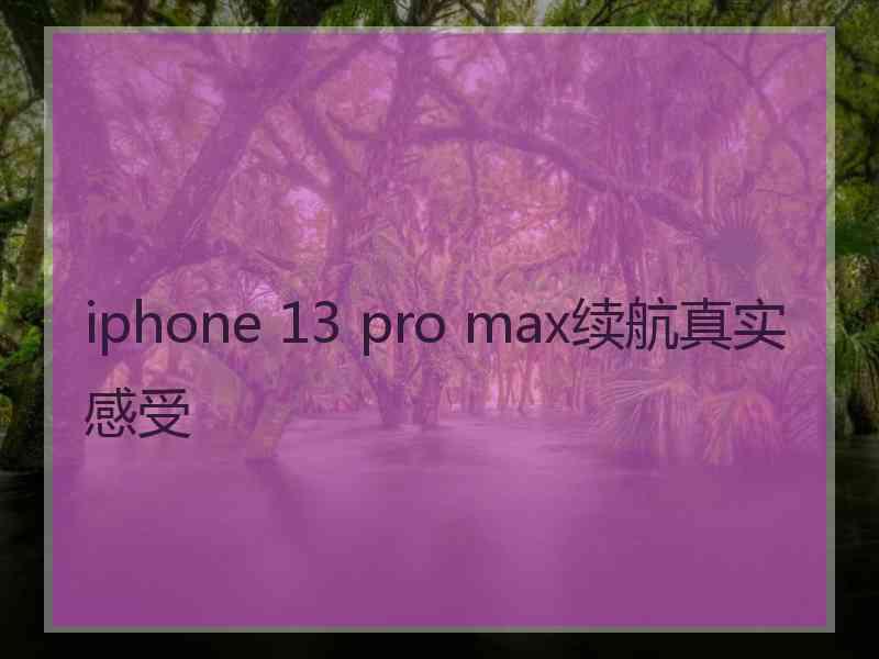 iphone 13 pro max续航真实感受