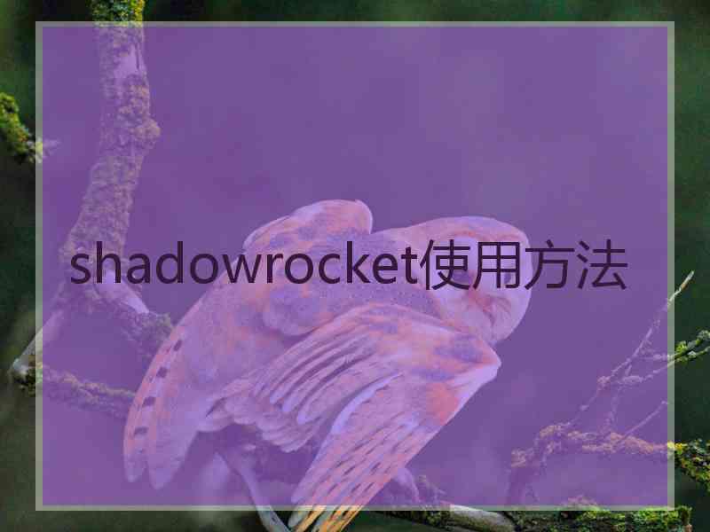 shadowrocket使用方法