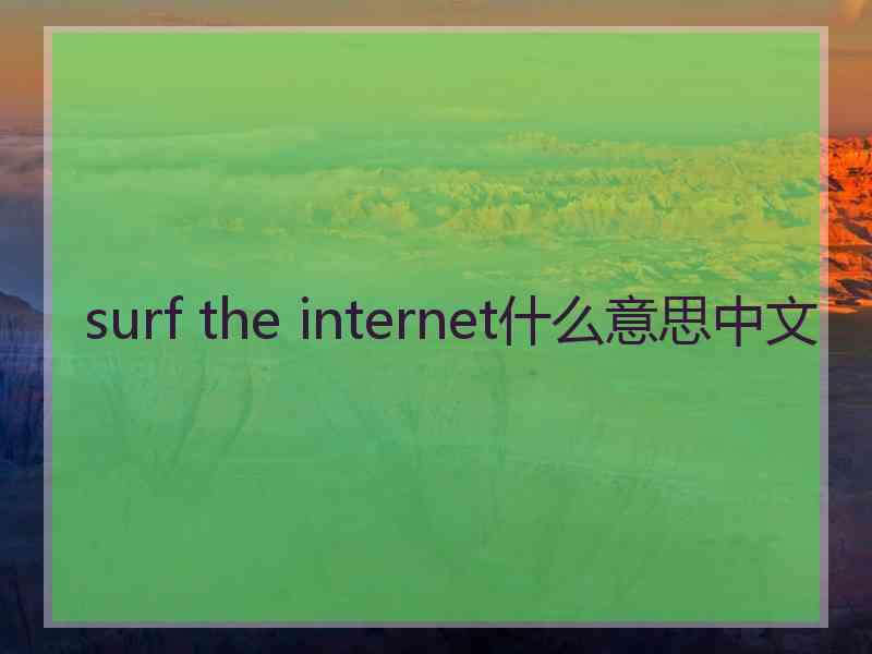 surf the internet什么意思中文