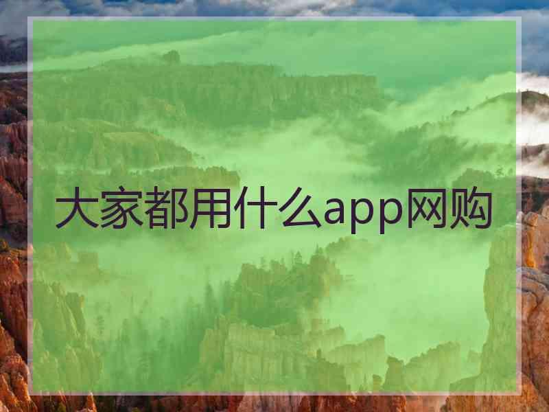 大家都用什么app网购