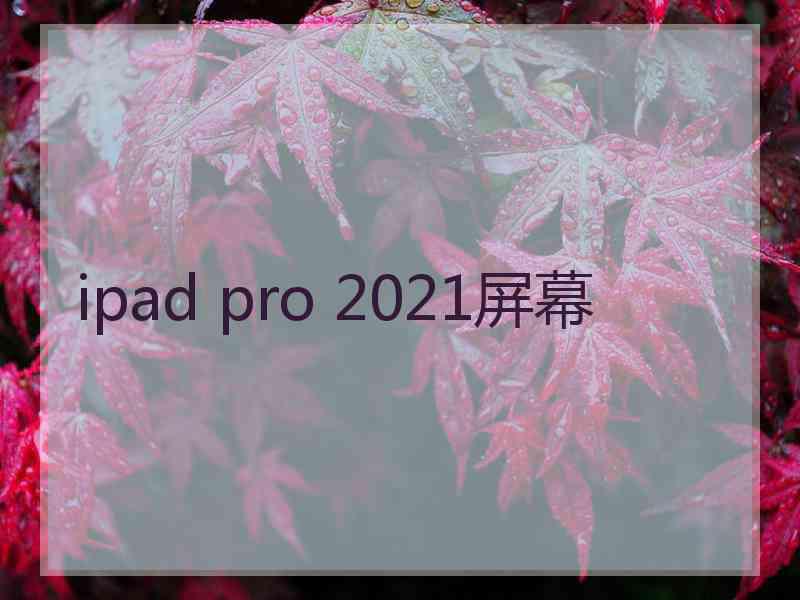 ipad pro 2021屏幕