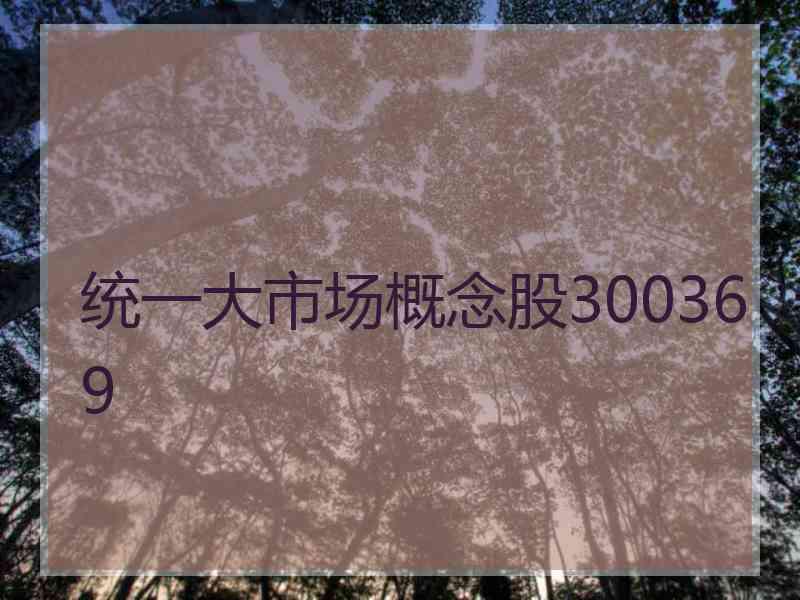 统一大市场概念股300369