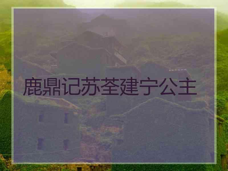 鹿鼎记苏荃建宁公主