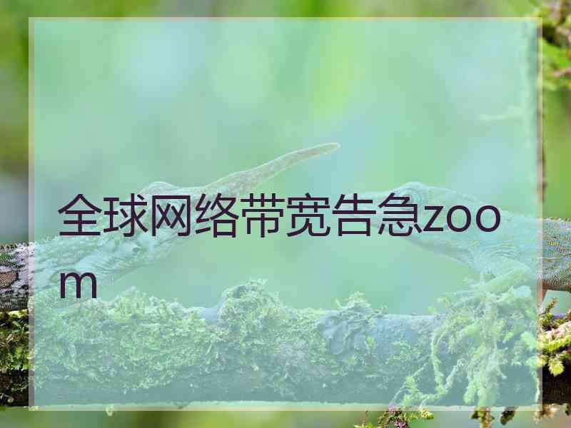 全球网络带宽告急zoom