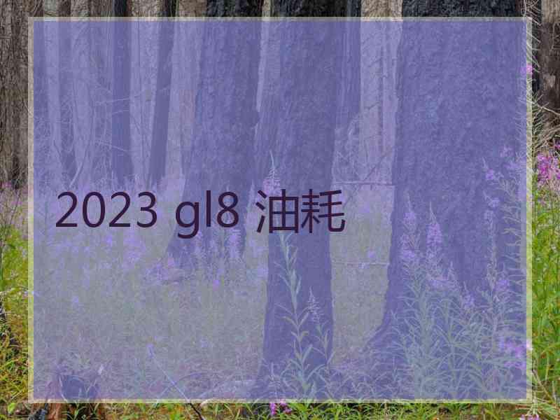 2023 gl8 油耗