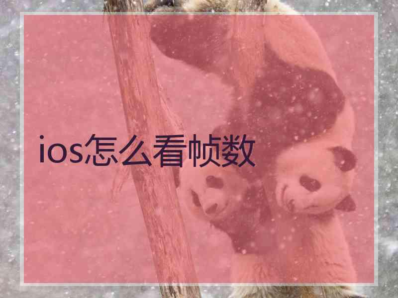 ios怎么看帧数