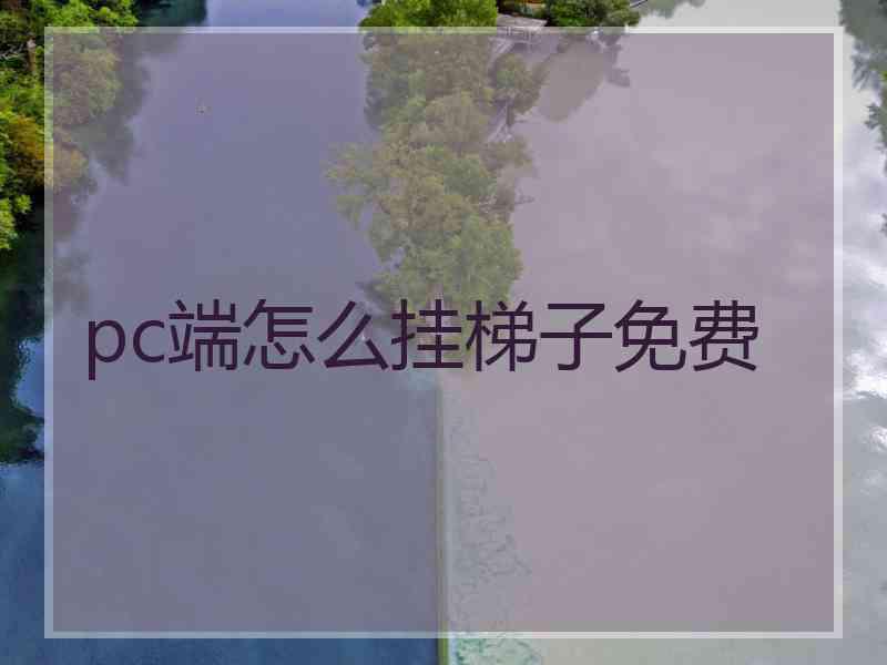 pc端怎么挂梯子免费