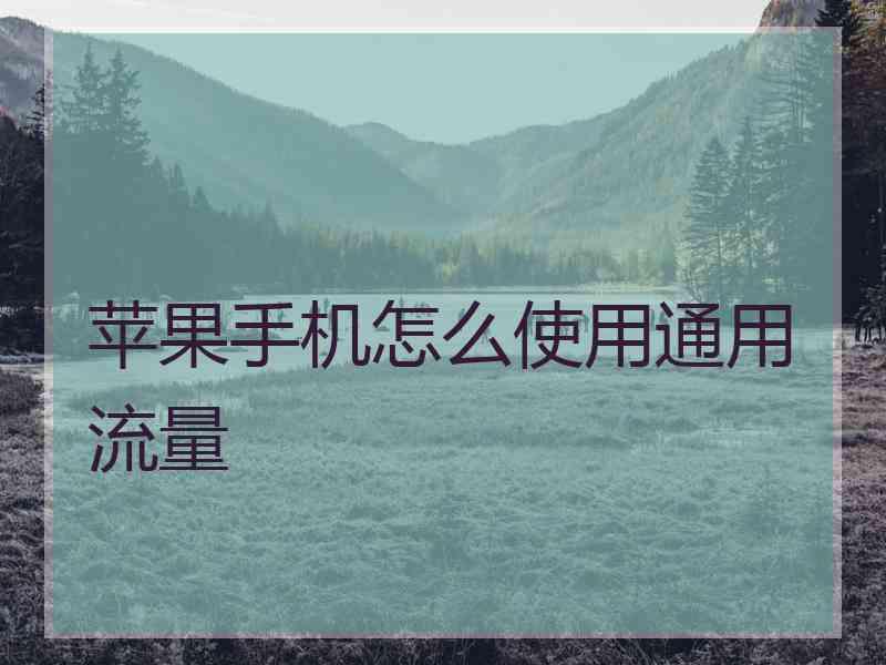 苹果手机怎么使用通用流量