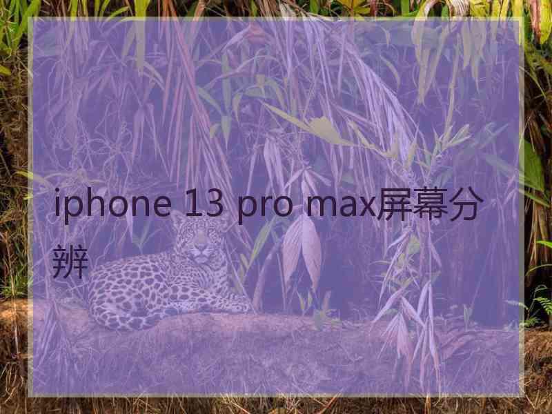 iphone 13 pro max屏幕分辨