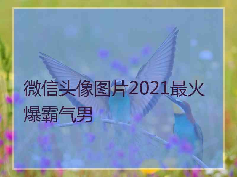 微信头像图片2021最火爆霸气男