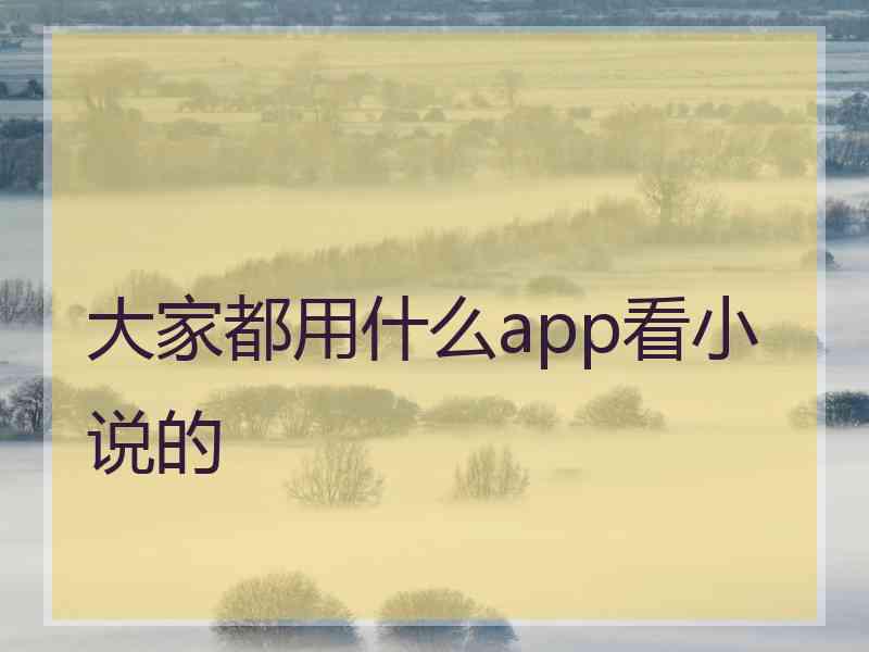 大家都用什么app看小说的