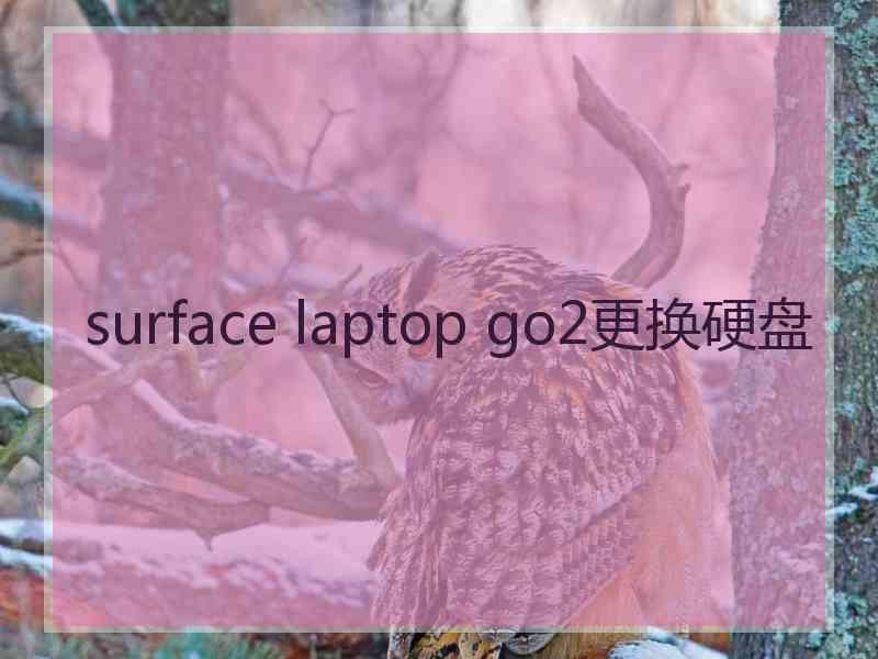 surface laptop go2更换硬盘