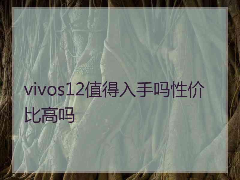 vivos12值得入手吗性价比高吗