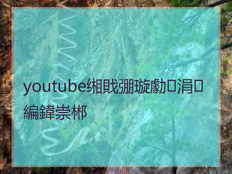 youtube缃戝弸璇勮涓編鍏崇郴