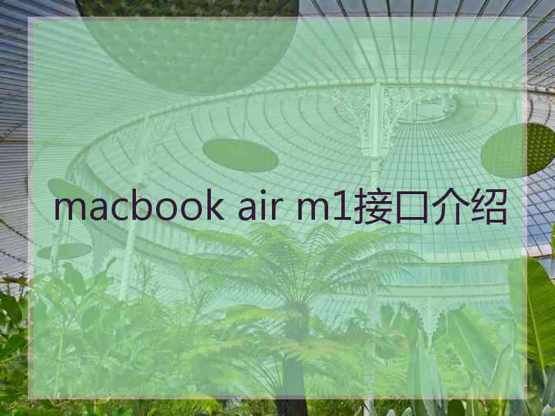 macbook air m1接口介绍