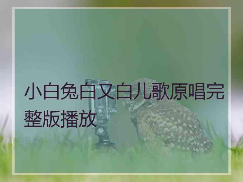 小白兔白又白儿歌原唱完整版播放