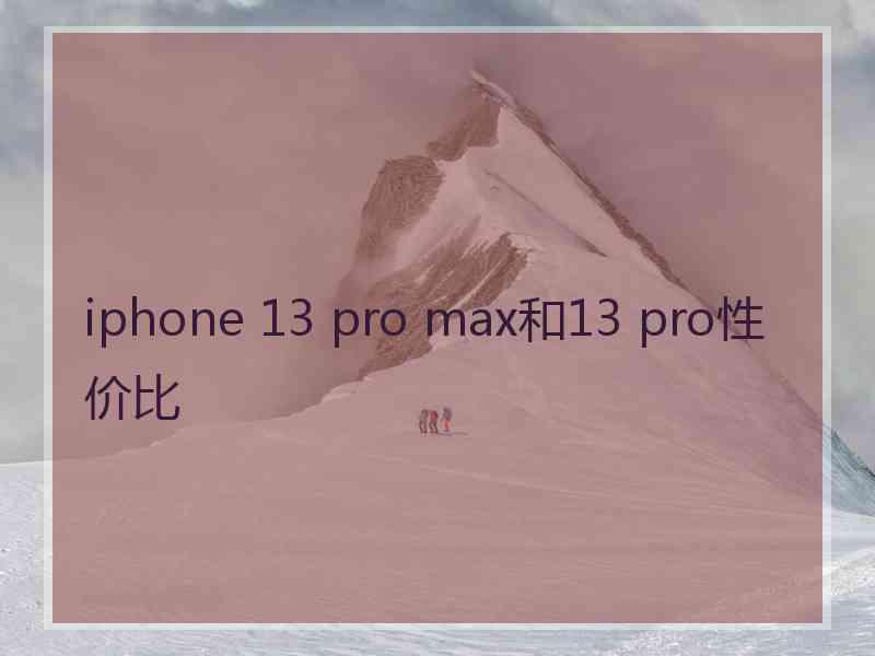 iphone 13 pro max和13 pro性价比