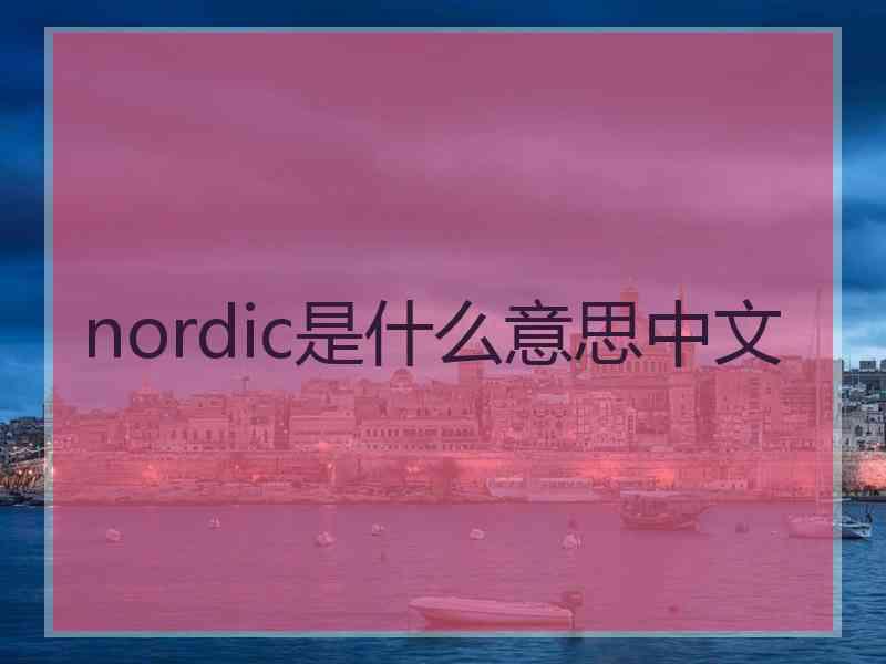 nordic是什么意思中文