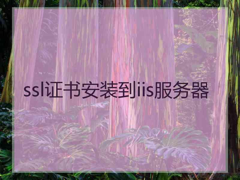 ssl证书安装到iis服务器