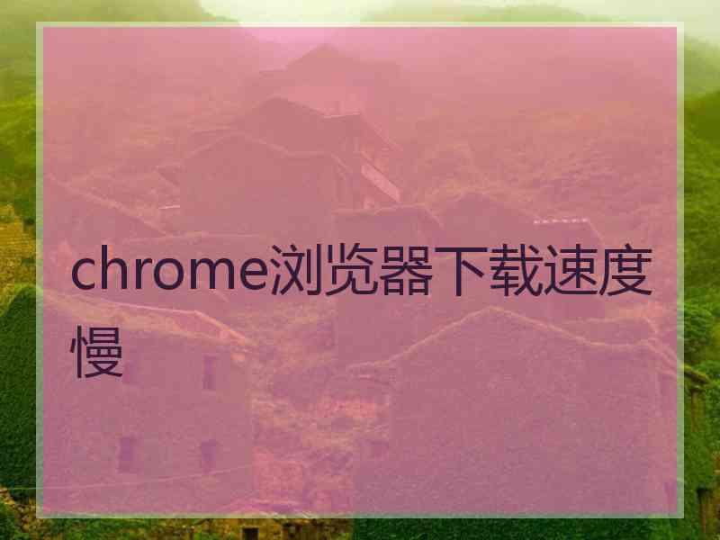 chrome浏览器下载速度慢