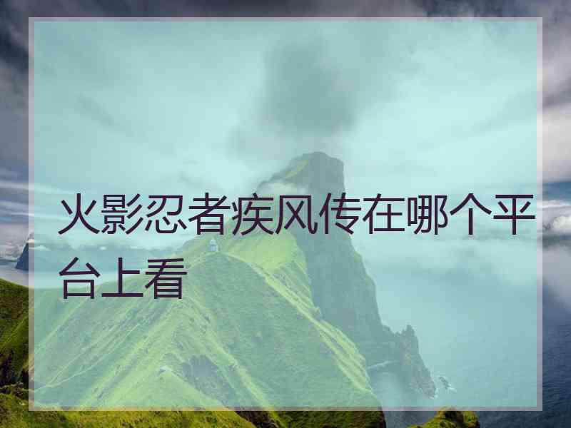 火影忍者疾风传在哪个平台上看